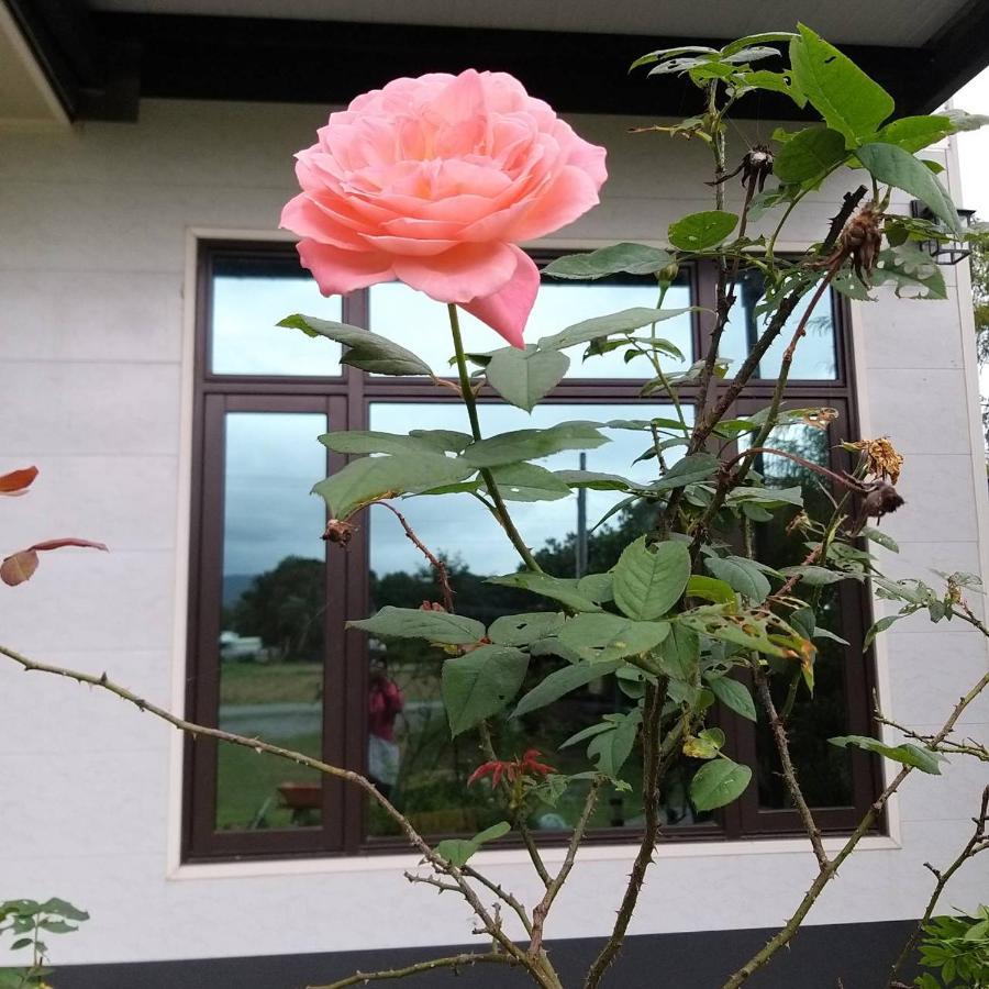 Futian B&B Ji'an Eksteriør bilde